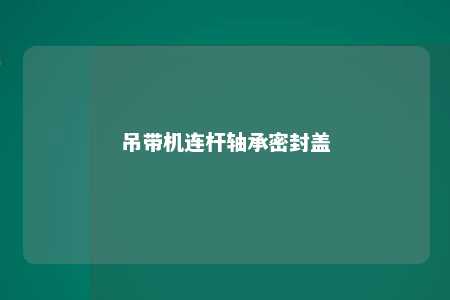 吊带机连杆轴承密封盖 