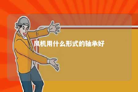 风机用什么形式的轴承好 